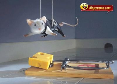 mortelle souris
