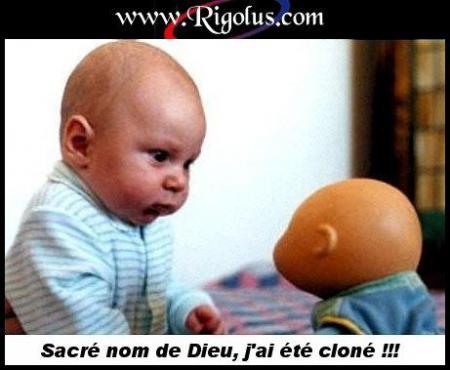 trop fort